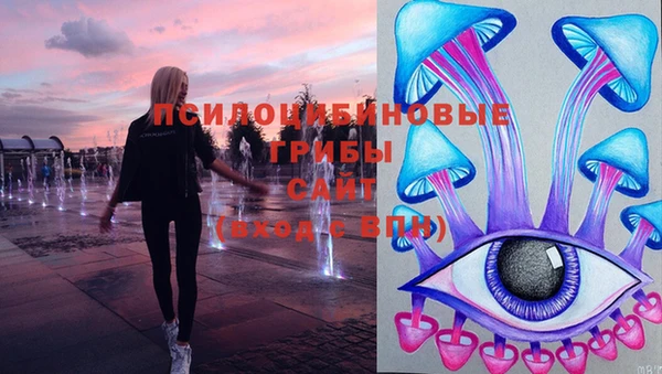 ПСИЛОЦИБИНОВЫЕ ГРИБЫ Аркадак