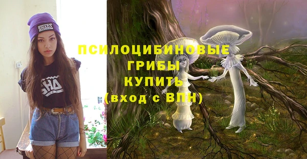 ПСИЛОЦИБИНОВЫЕ ГРИБЫ Аркадак