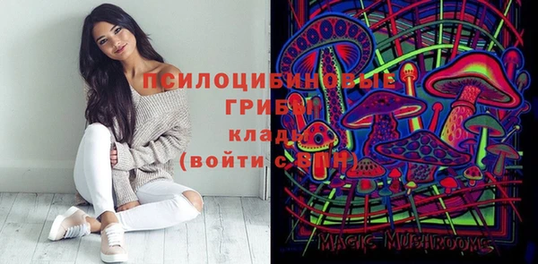 ПСИЛОЦИБИНОВЫЕ ГРИБЫ Аркадак