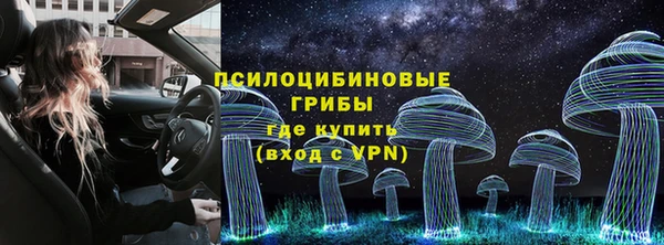 эйфоретик Армянск