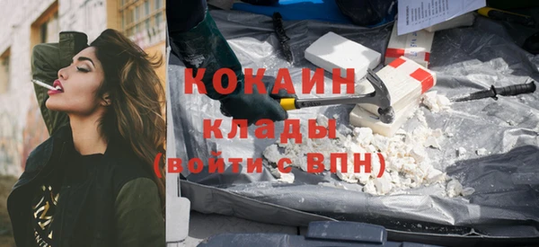 ПСИЛОЦИБИНОВЫЕ ГРИБЫ Аркадак