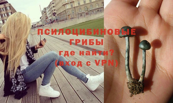 ПСИЛОЦИБИНОВЫЕ ГРИБЫ Аркадак