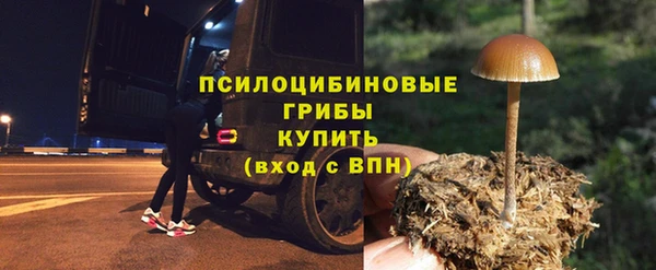эйфоретик Армянск